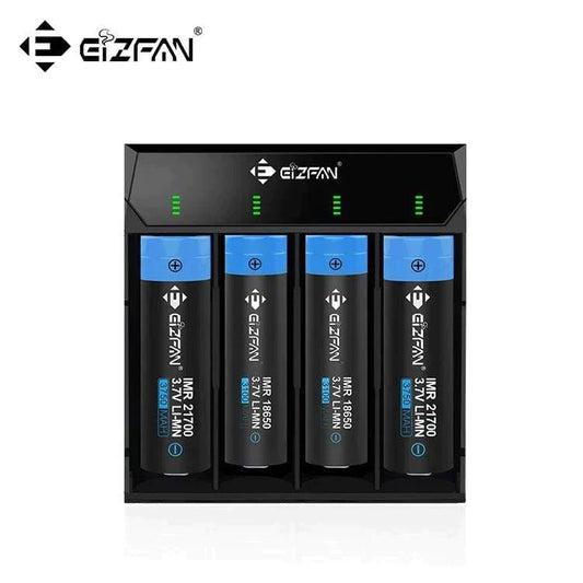 EIZFAN - NC4 - QUARD BATTERY CHARGER